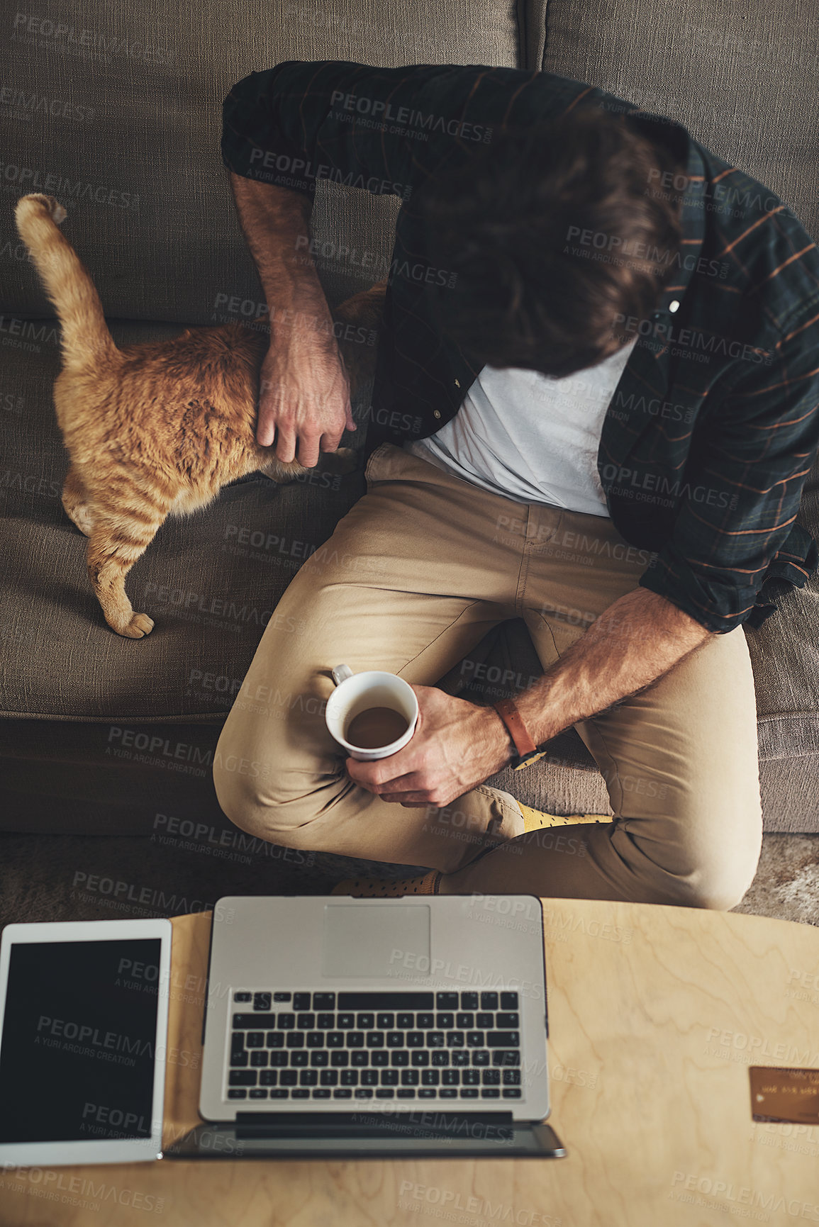 Buy stock photo Laptop, coffee and man with cat on sofa to bond, relax and shopping online with credit card. Computer, animal and top view of male person rubbing kitten pet with care and drink latte in living room.