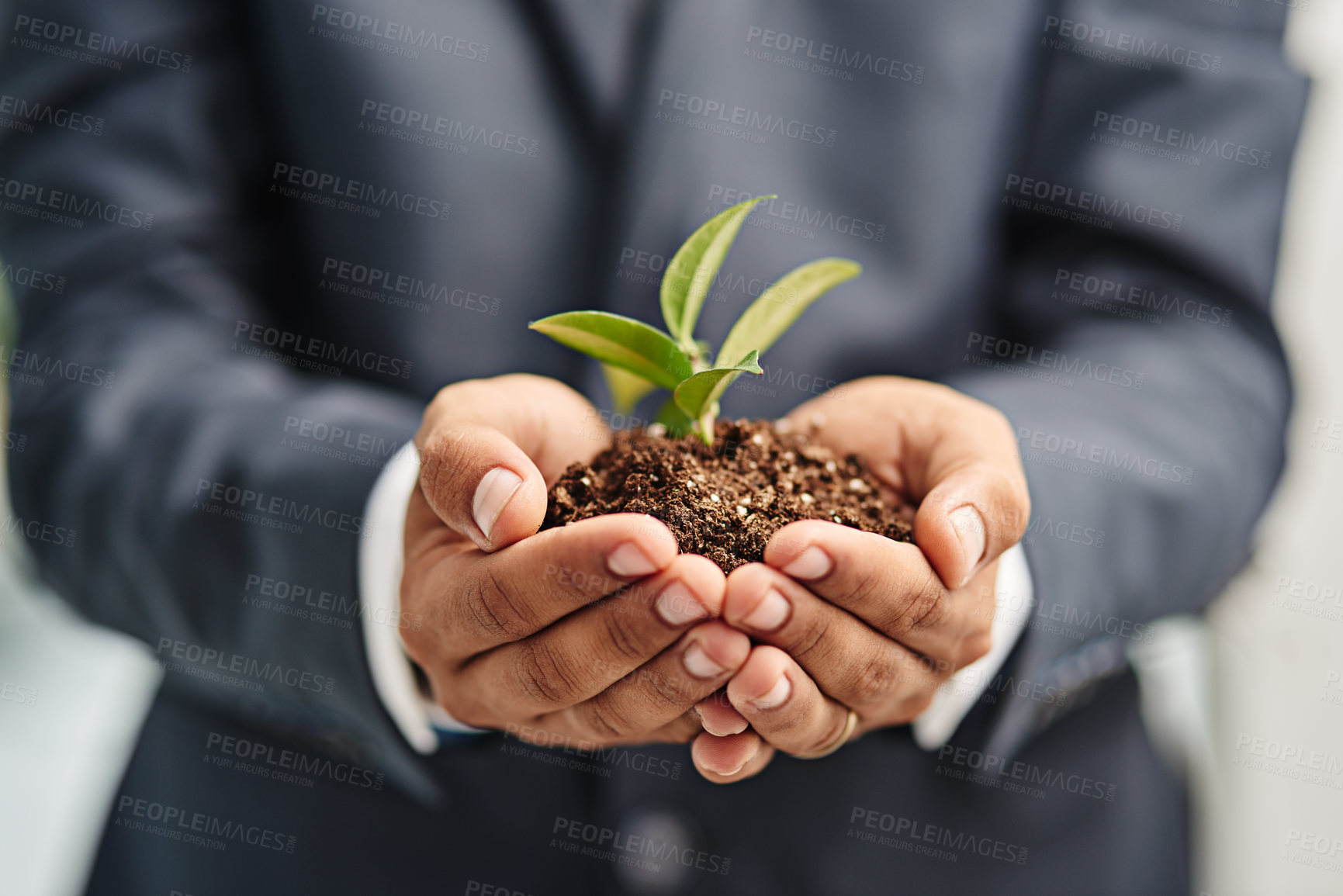 Buy stock photo Business person, hand and plant for startup growth as seed funding or sustainability, eco friendly or earth day. Fingers, soil and leaves for carbon footprint or corporate, opportunity or environment