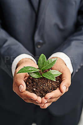 Buy stock photo Closeup shot of an unrecognizable businessman holding a sprouting plant in soil in his cupped hands