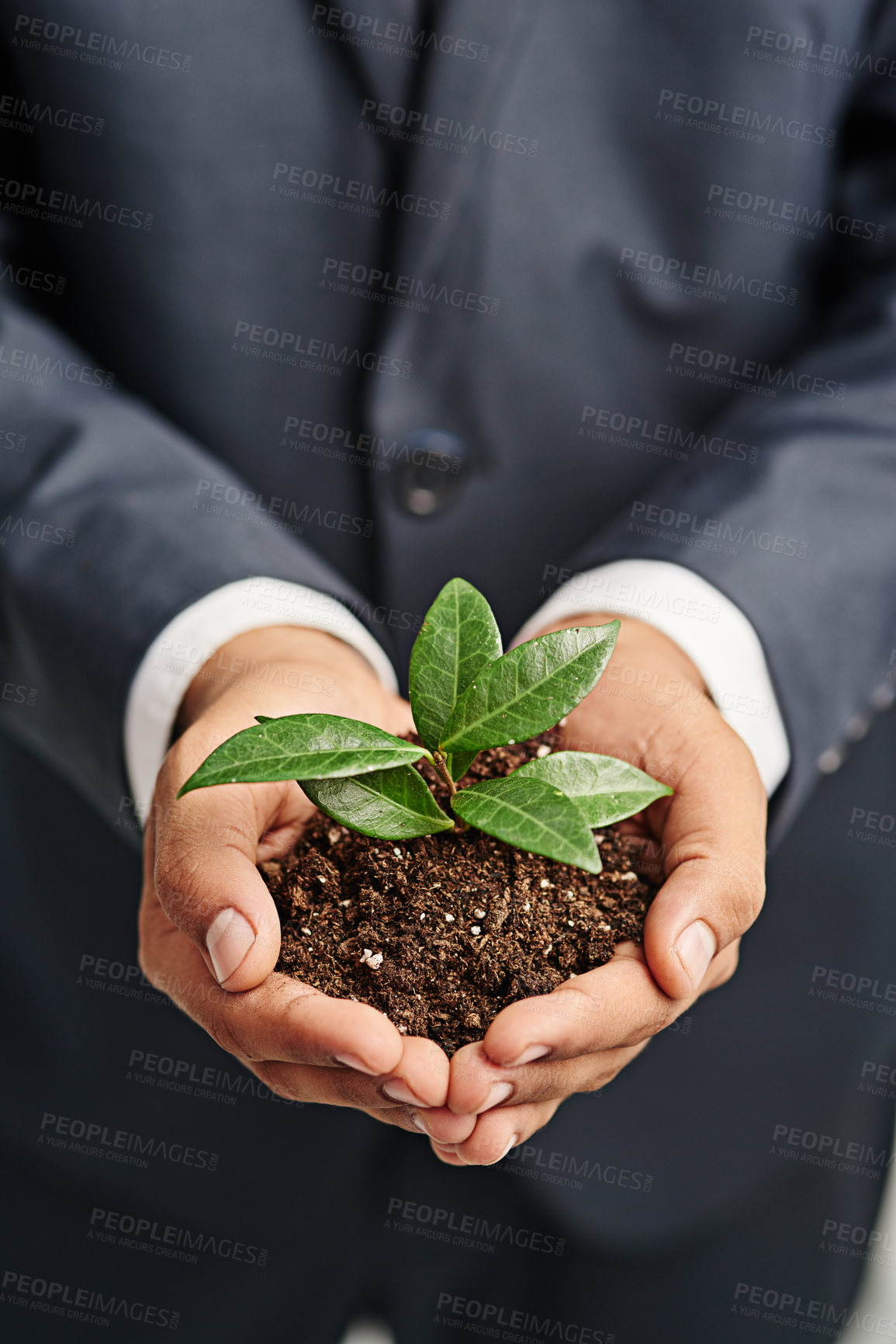Buy stock photo Hands, plant and soil for business, growth and future of agency, fertiliser and sustainable finance. Closeup, natural and person with resources for company, banking or development of leaves in profit