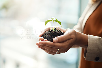 Buy stock photo Shot of an unrecognizable businesswoman holding a plant growing out of soil in her office