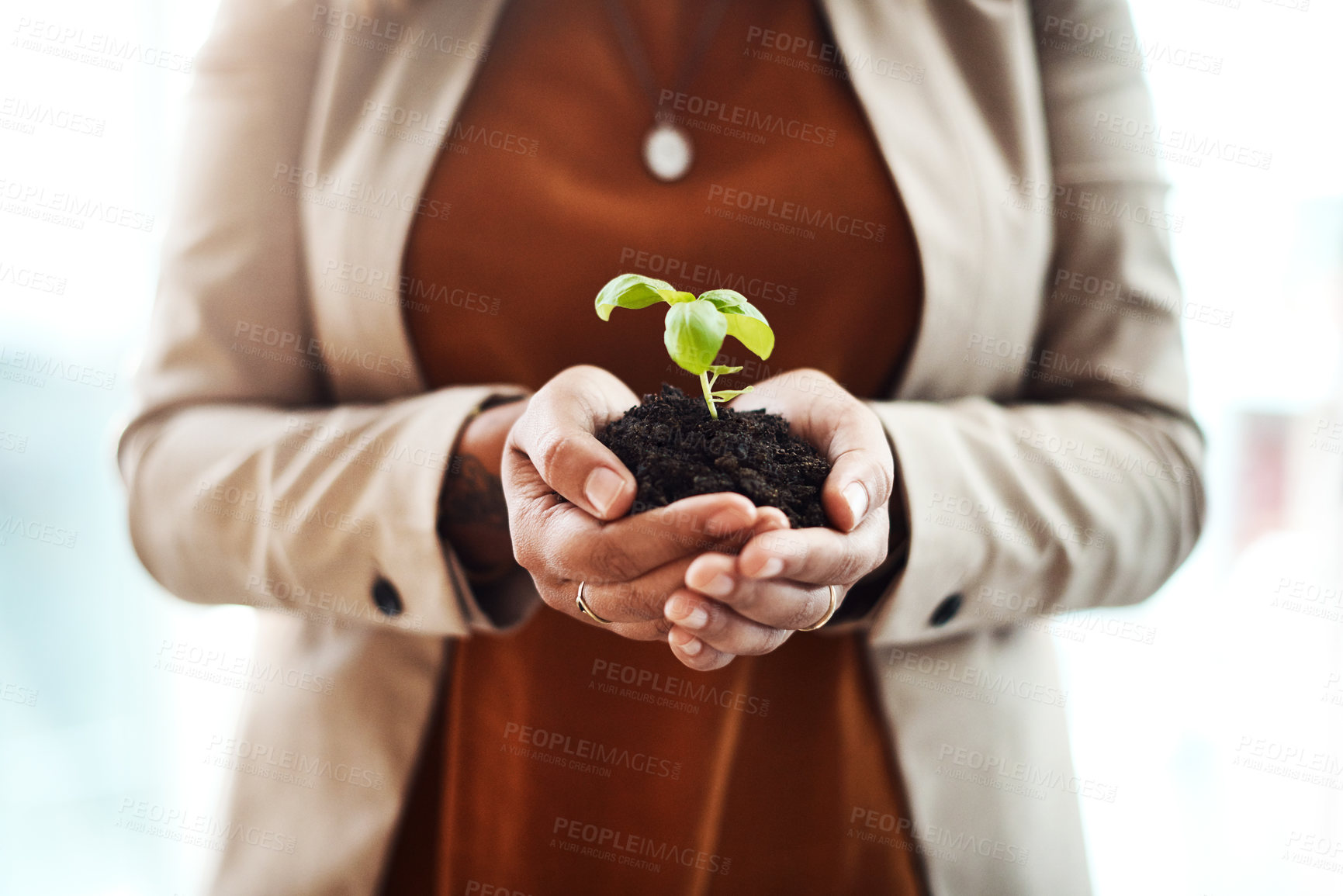 Buy stock photo Shot of an unrecognizable businesswoman holding a plant growing out of soil in her office