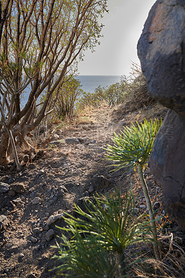 Buy stock photo Mountain trails on La Palma, the west coast, Canary Island, Spain, Aerial view