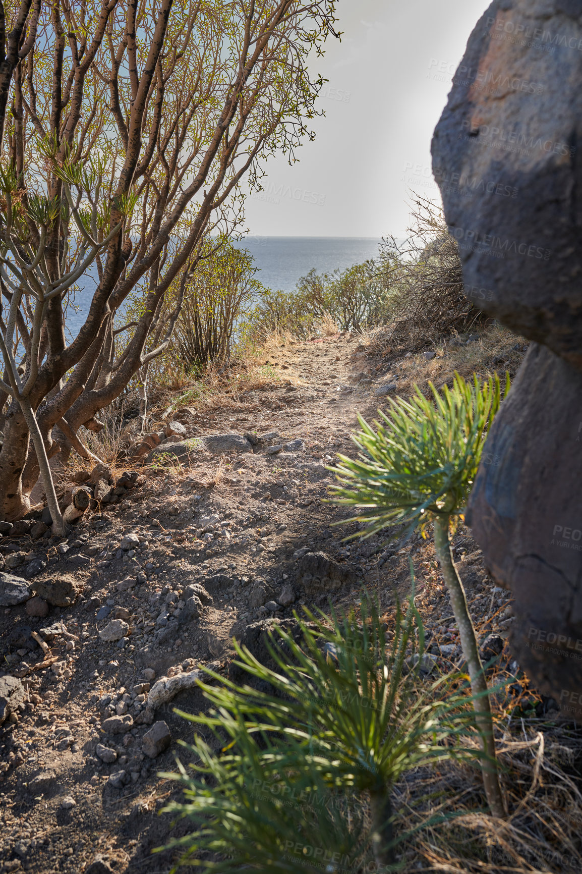 Buy stock photo Mountain trails on La Palma, the west coast, Canary Island, Spain, Aerial view