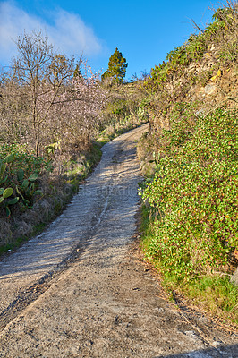 Buy stock photo Mountain, trail or plants with natural growth or dirt road for trekking adventure or hiking journey in nature. Empty, outdoor terrain or blue sky with eco conservation, greenery or path in wilderness