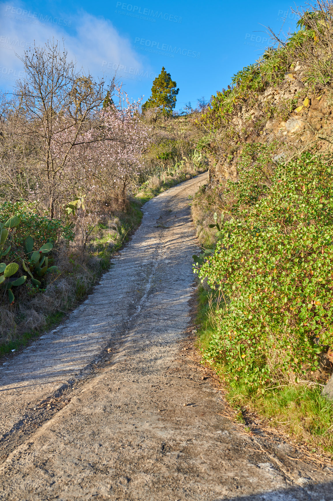 Buy stock photo Mountain trails on La Palma, the west coast, Canary Island, Spain, Aerial view