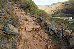 Mountain trails - La Palma, Canary Islands