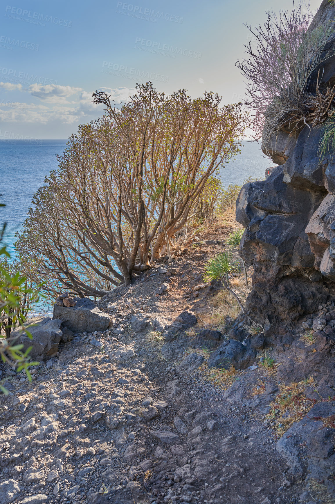 Buy stock photo Mountain trails on La Palma, the west coast, Canary Island, Spain, Aerial view