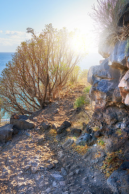 Buy stock photo Mountain trails on La Palma, the west coast, Canary Island, Spain, Aerial view