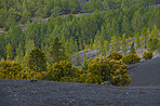 The Cumbre Nueva in La Palma