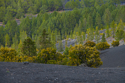 Buy stock photo Beautiful lava landscape on the Cumbre Nueva in La Palma