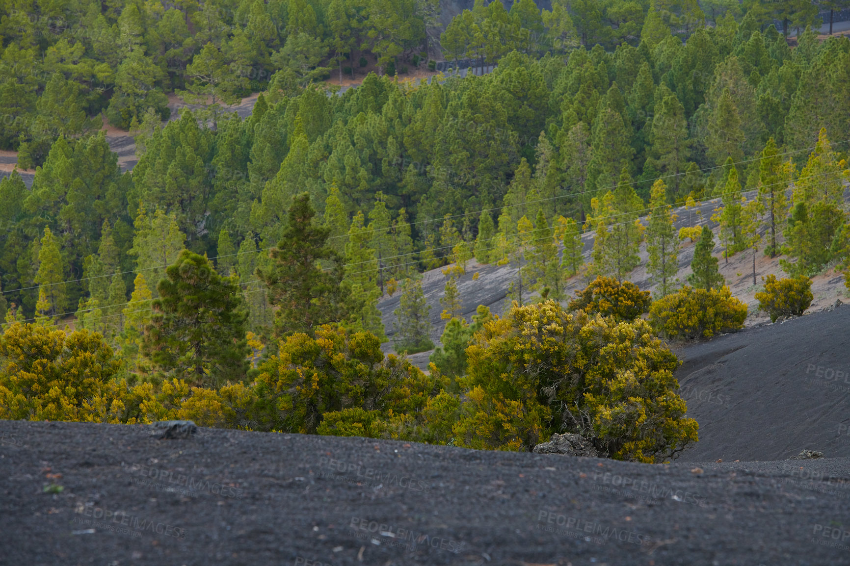 Buy stock photo Beautiful lava landscape on the Cumbre Nueva in La Palma