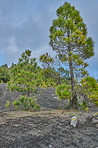 The Cumbre Nueva in La Palma