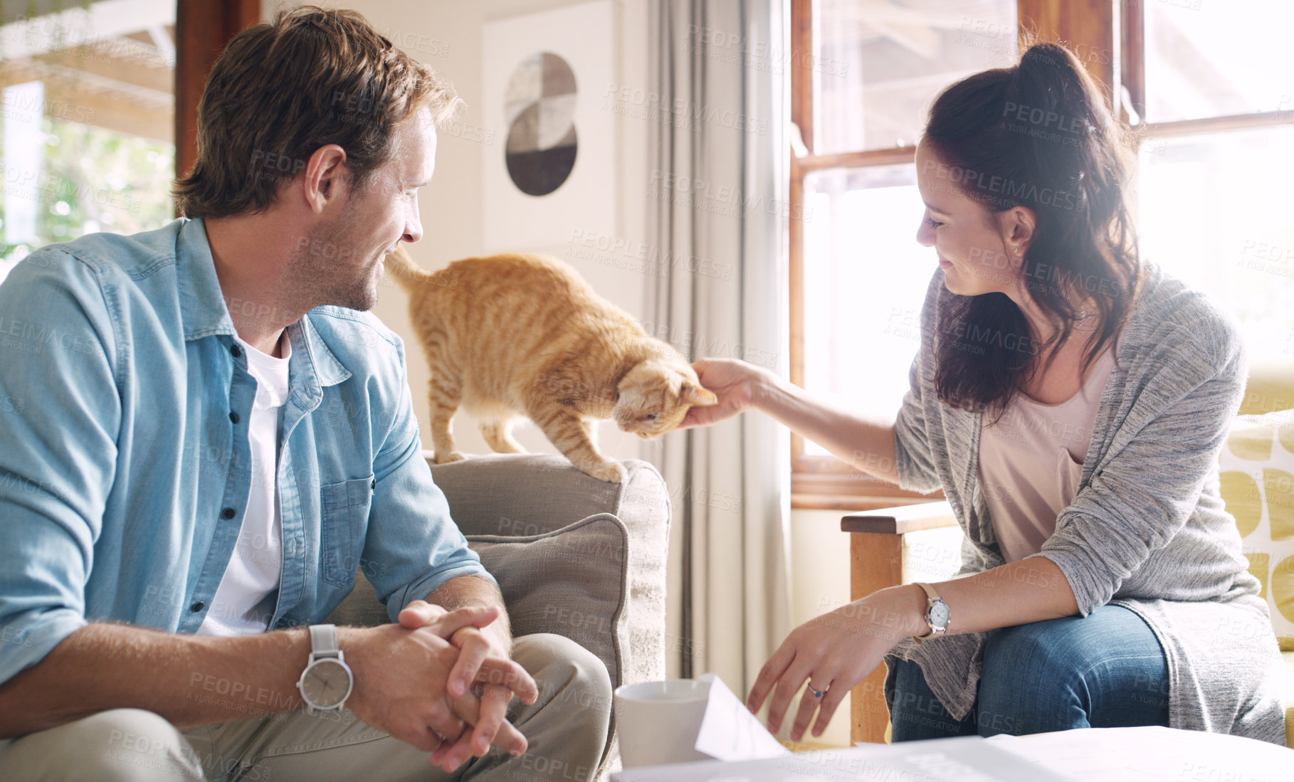 Buy stock photo Cropped shot of an affectionate young woman petting her cat while sitting with her husband in their living room