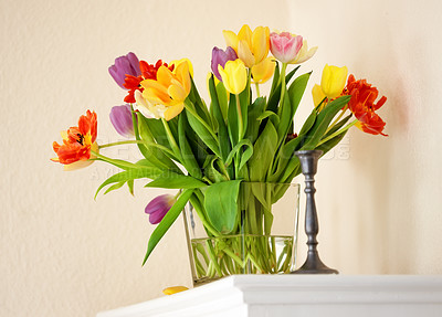 Buy stock photo Bouquet of tulips