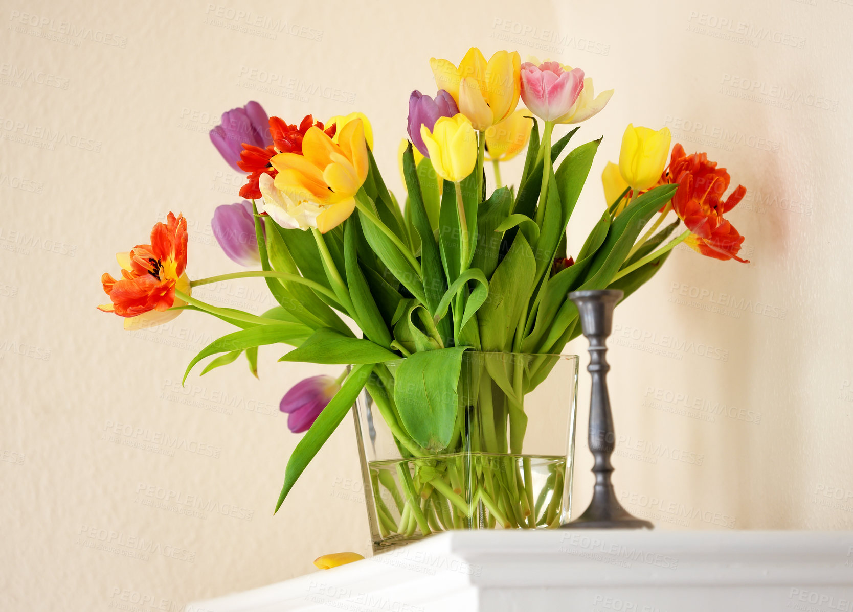 Buy stock photo Bouquet of tulips