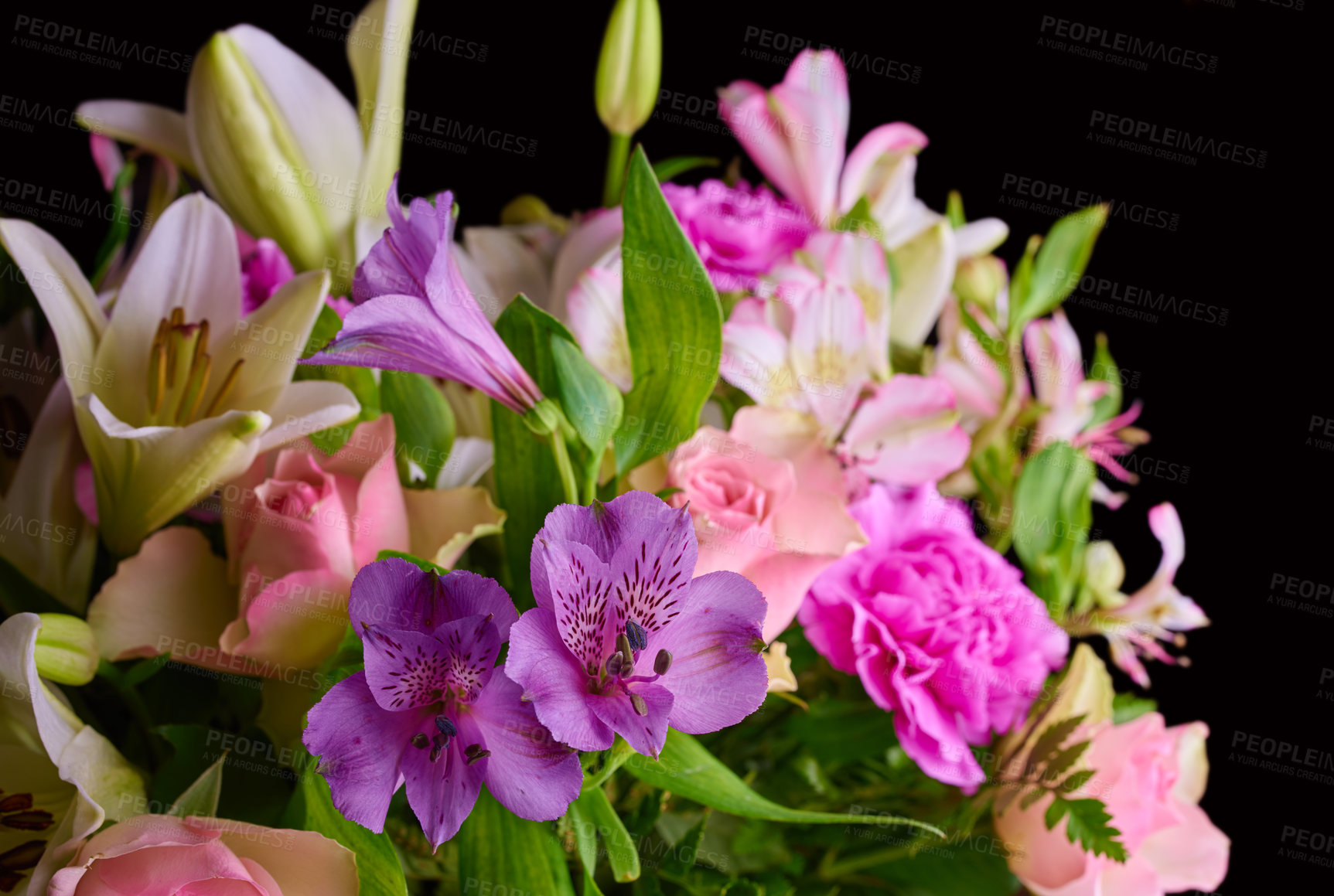 Buy stock photo A bouquet of appreciation