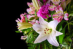 Colourful bouquet of  flowers