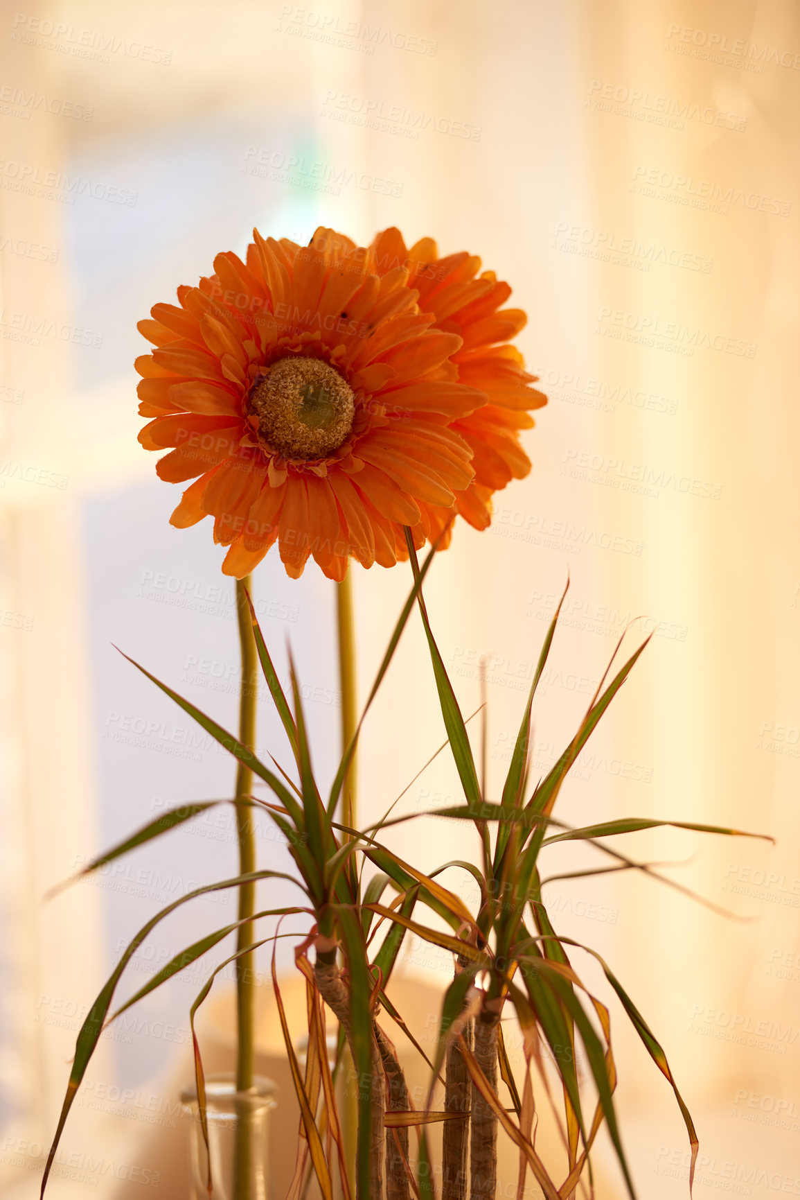 Buy stock photo Bouquet with different kind of flowers