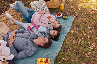 Buy stock photo Shot of a happy young family enjoying a picnic in the park