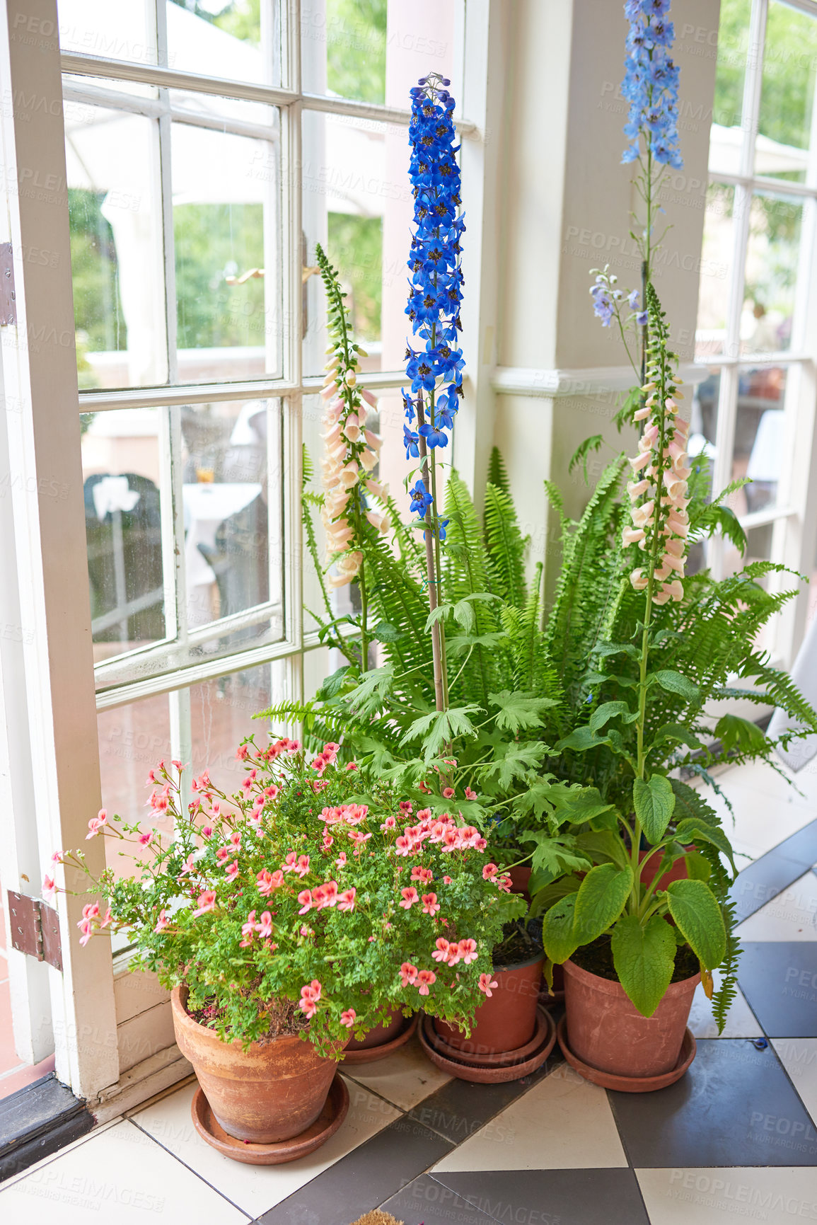 Buy stock photo In my garden - jar and flower pot