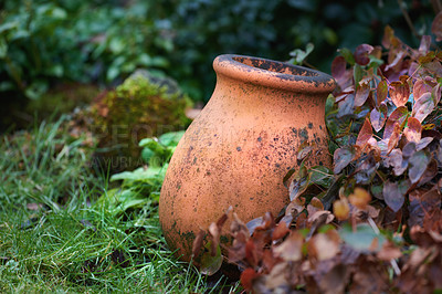 Buy stock photo Empty pot, garden and grass with flowers for natural growth, foliage or outdoor decor in nature. Plant, ornament or clay vase with lush botany of greenery, growing leaves or floral design in backyard