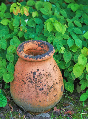 Buy stock photo A flower pot in the garden