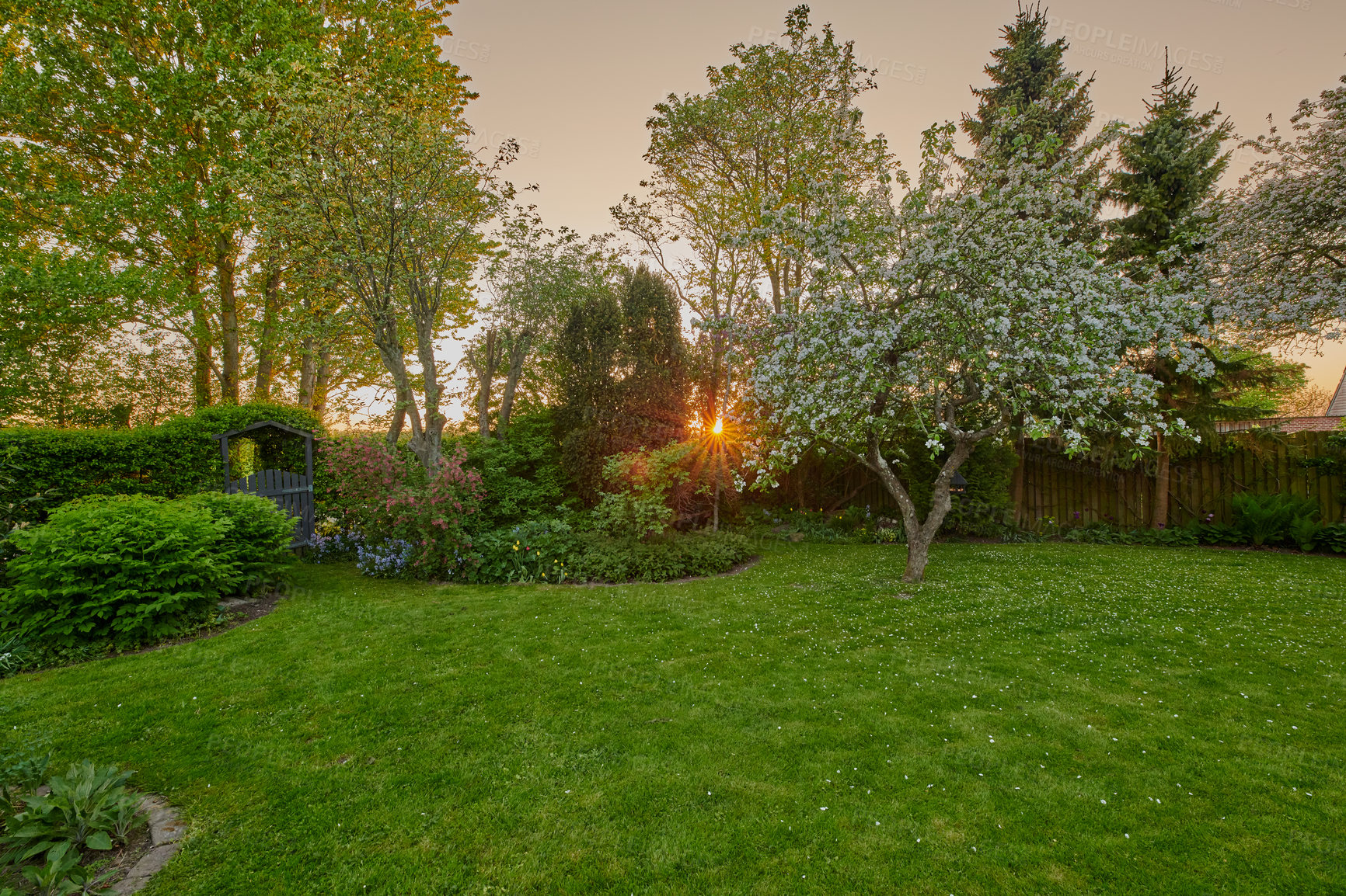 Buy stock photo A series of beautiful garden photos