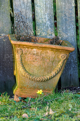 Buy stock photo A flower pot in the garden