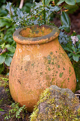 Buy stock photo Empty, flower pot or garden with leaves or greenery for natural growth, foliage or outdoor decor in nature. Plant, ornament or clay vase with green lush, botany or growing mold and fungus in backyard