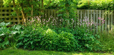 Buy stock photo A series of beautiful garden photos