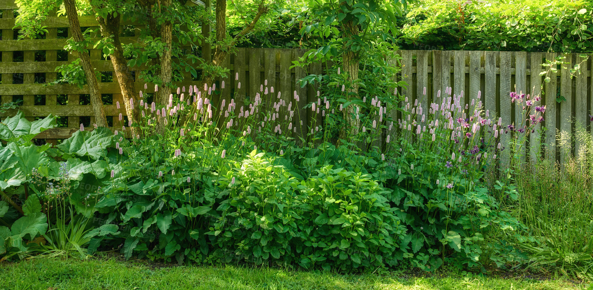 Buy stock photo A series of beautiful garden photos