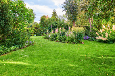 Buy stock photo A series of beautiful garden photos