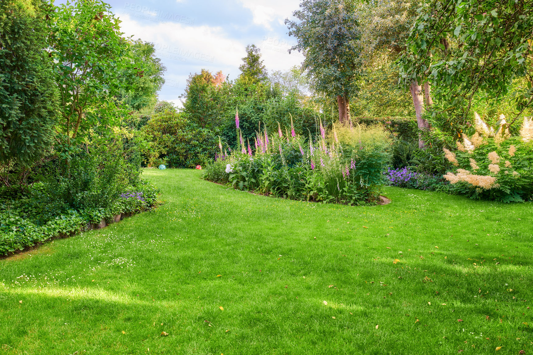 Buy stock photo A series of beautiful garden photos