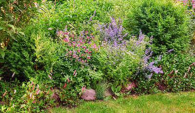 Buy stock photo A series of beautiful garden photos