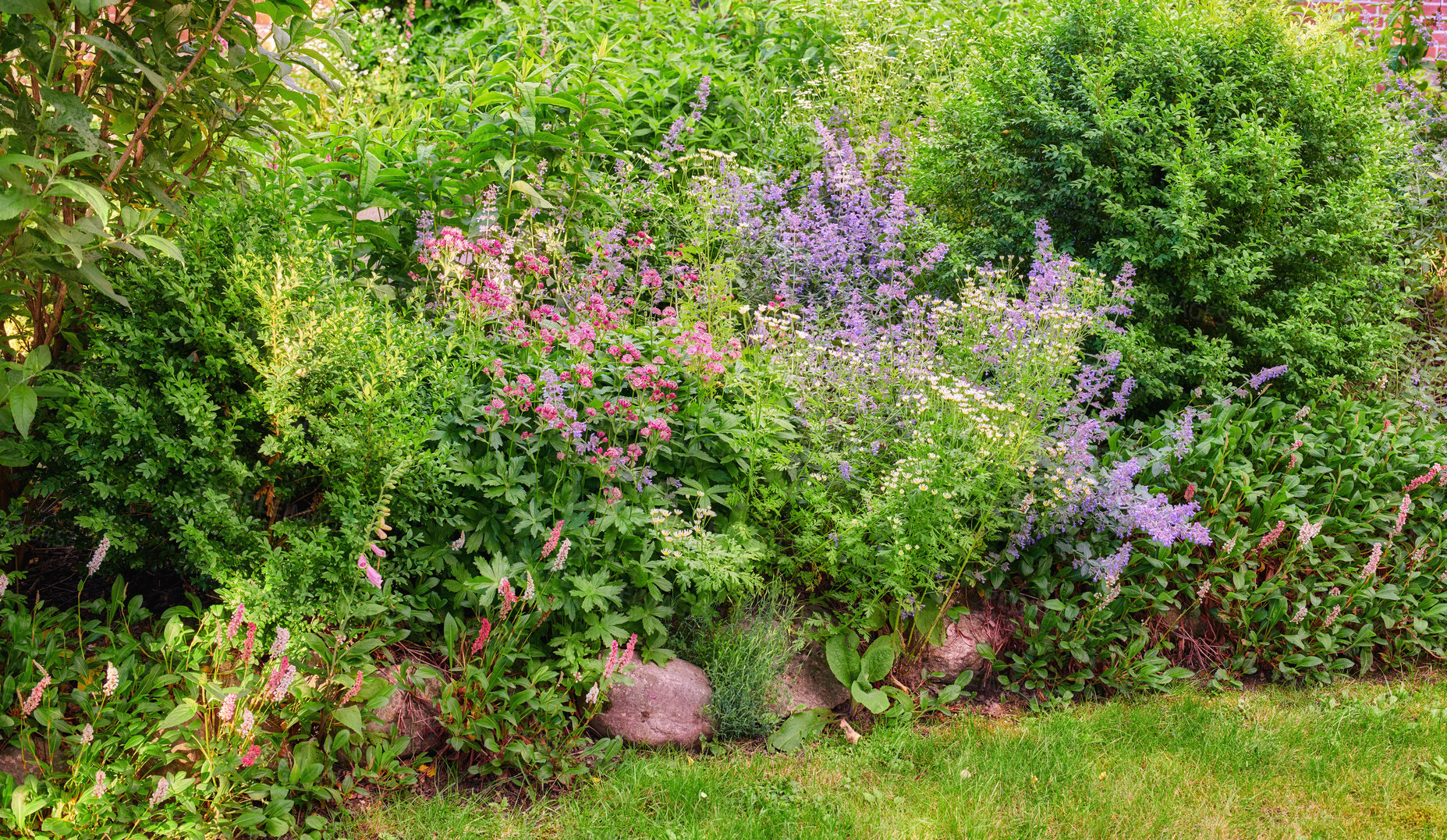 Buy stock photo A series of beautiful garden photos