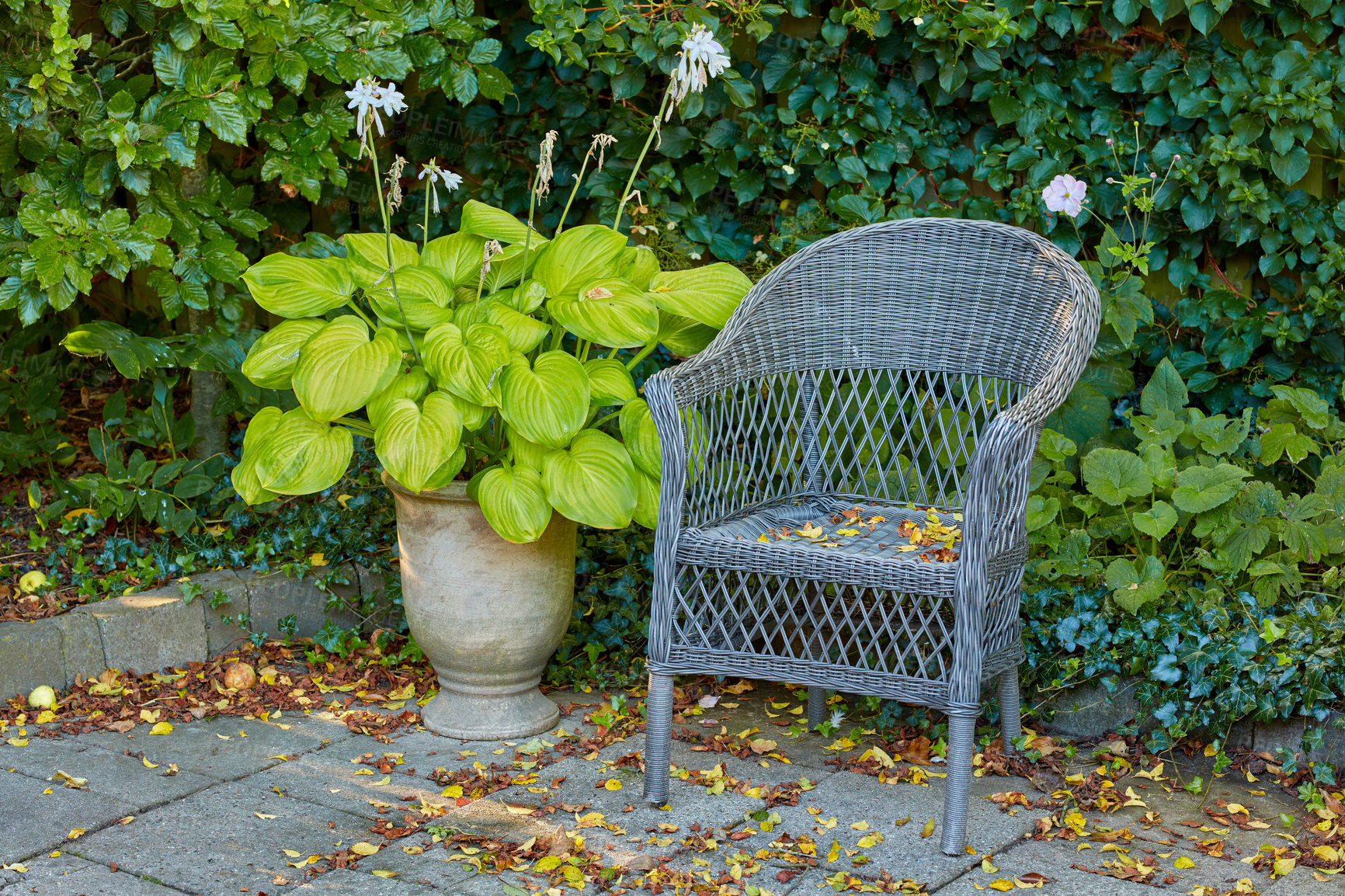 Buy stock photo The private spot of the Gardener - the beauty of garderning 