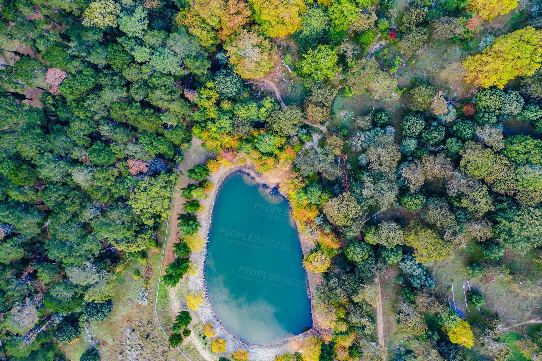 Buy stock photo High angle shot of a lake in the middle of a beautiful forest