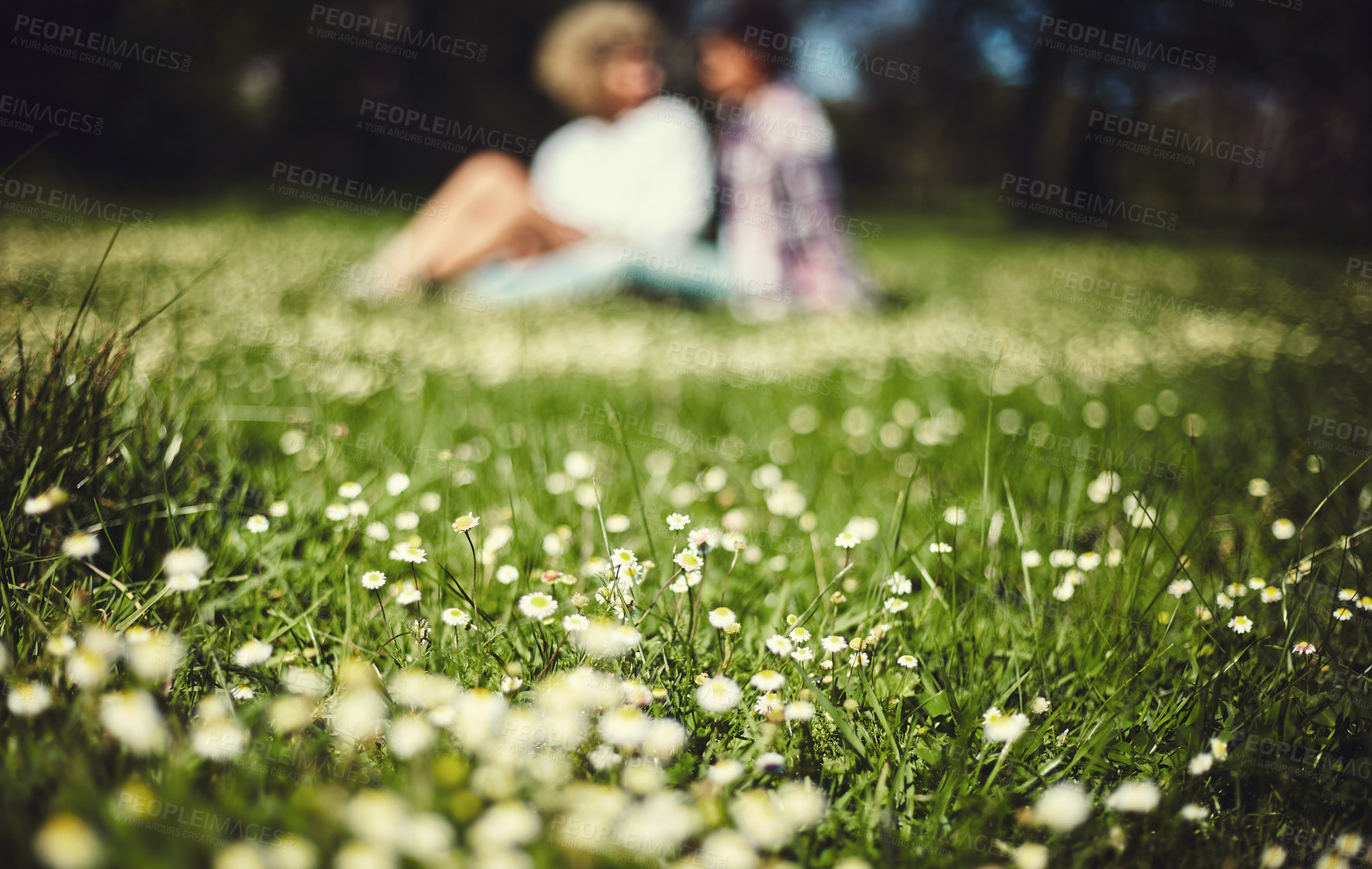 Buy stock photo Happy couple, relax and picnic in outdoor for bonding, together and love in relationship for dating. Woman, man and park, garden or nature with blur on lawn, ground or grass on weekend or valentines