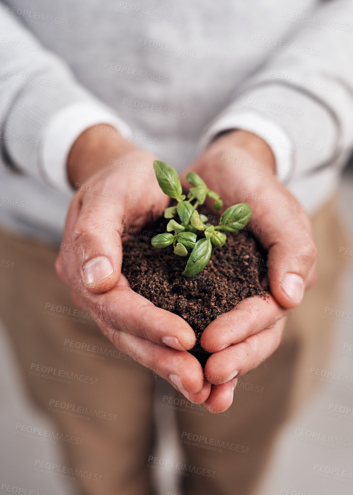 Buy stock photo Cropped shot of a businessman holding a plant growing out of soil