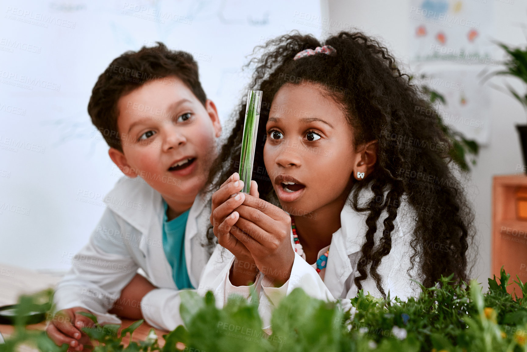 Buy stock photo Shot of an adorable little boy and girl learning about plants at school