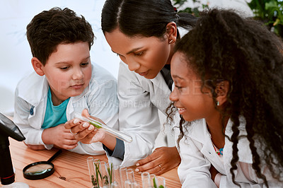 Buy stock photo Shot of an adorable little boy and girl learning about plants with their teacher at school