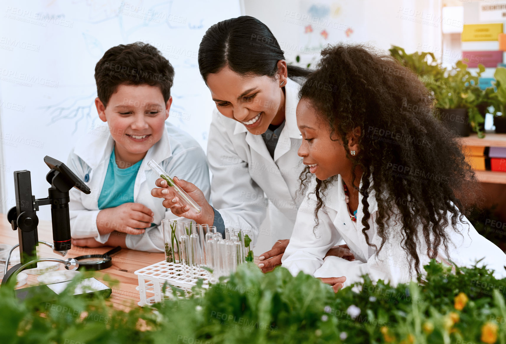 Buy stock photo Children, teacher and school with plants in classroom for education, science and environmental awareness. People, students and happy with test tube for crop experiment, research and knowledge at lab