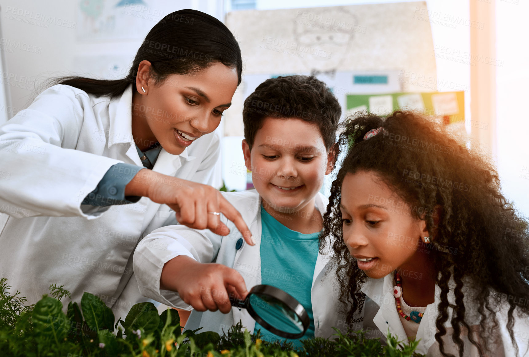 Buy stock photo Kids, teacher and school with magnifying glass for plants on education, science and analysis. People, students and happy in classroom for crop experiment, research and investigation with observation