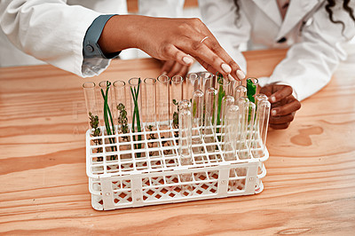 Buy stock photo Cropped shot of a child learning about plants with their teacher at school