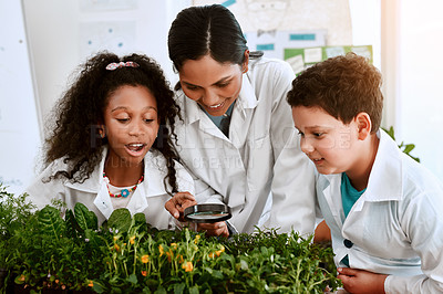 Buy stock photo Shot of an adorable little boy and girl learning about plants with their teacher at school