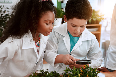 Buy stock photo Shot of an adorable little boy and girl learning about plants at school