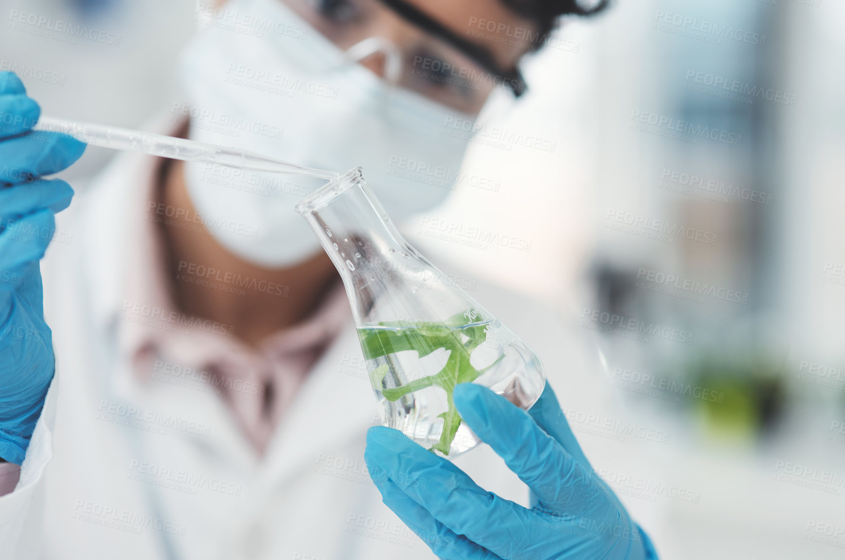 Buy stock photo Scientist, beaker and person with plants in lab for phytology, experiment and medical investigation. Science, botany and liquid with pipette for pharmaceutical research, sample and biology innovation