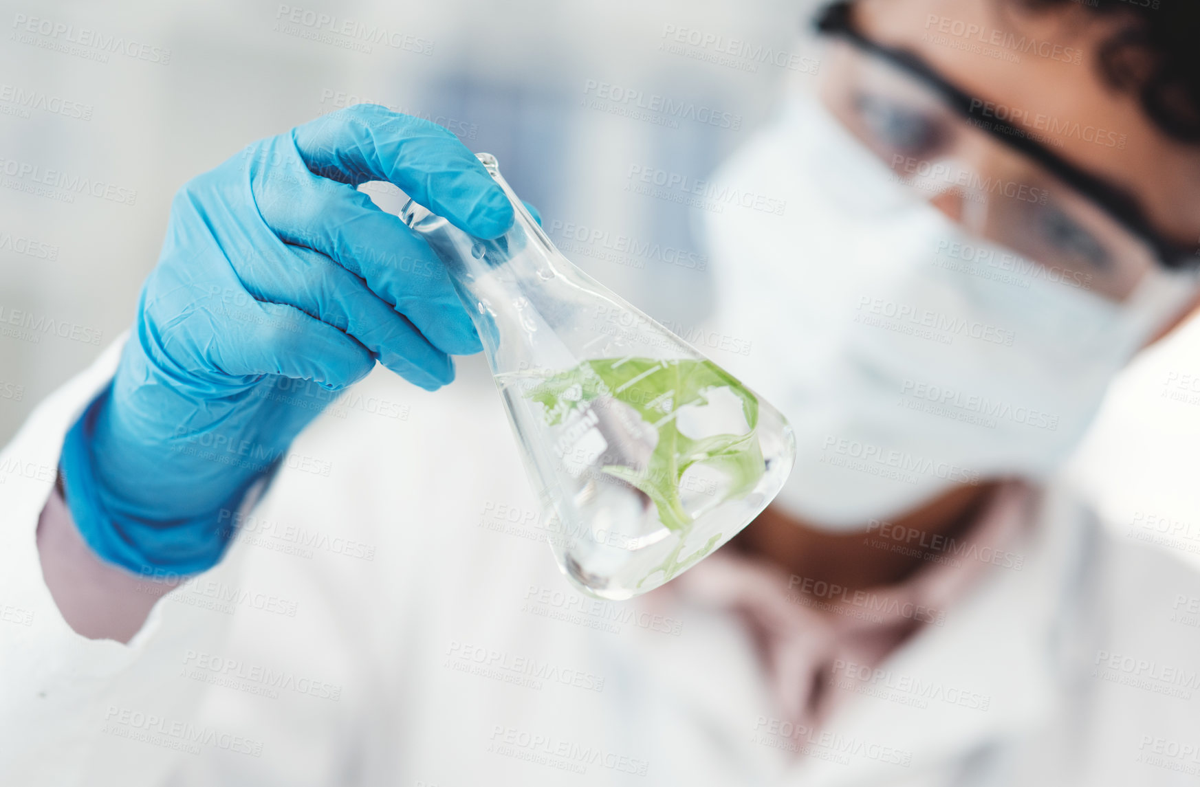 Buy stock photo Cropped shot of an unrecognizable female scientist inspecting a beaker containing a plant and liquid while working in a laboratory