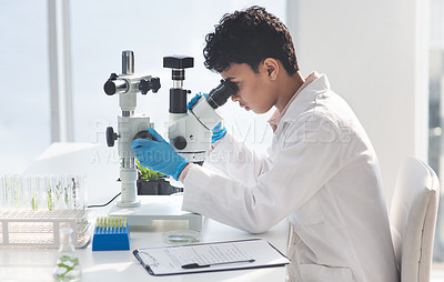 Buy stock photo Cropped shot of an attractive young female scientist looking through a microscope while working with plants in a laboratory
